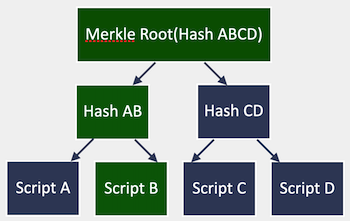 Merkle tree witness