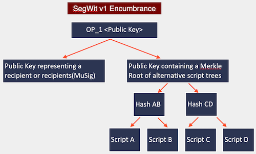 SegWit v1